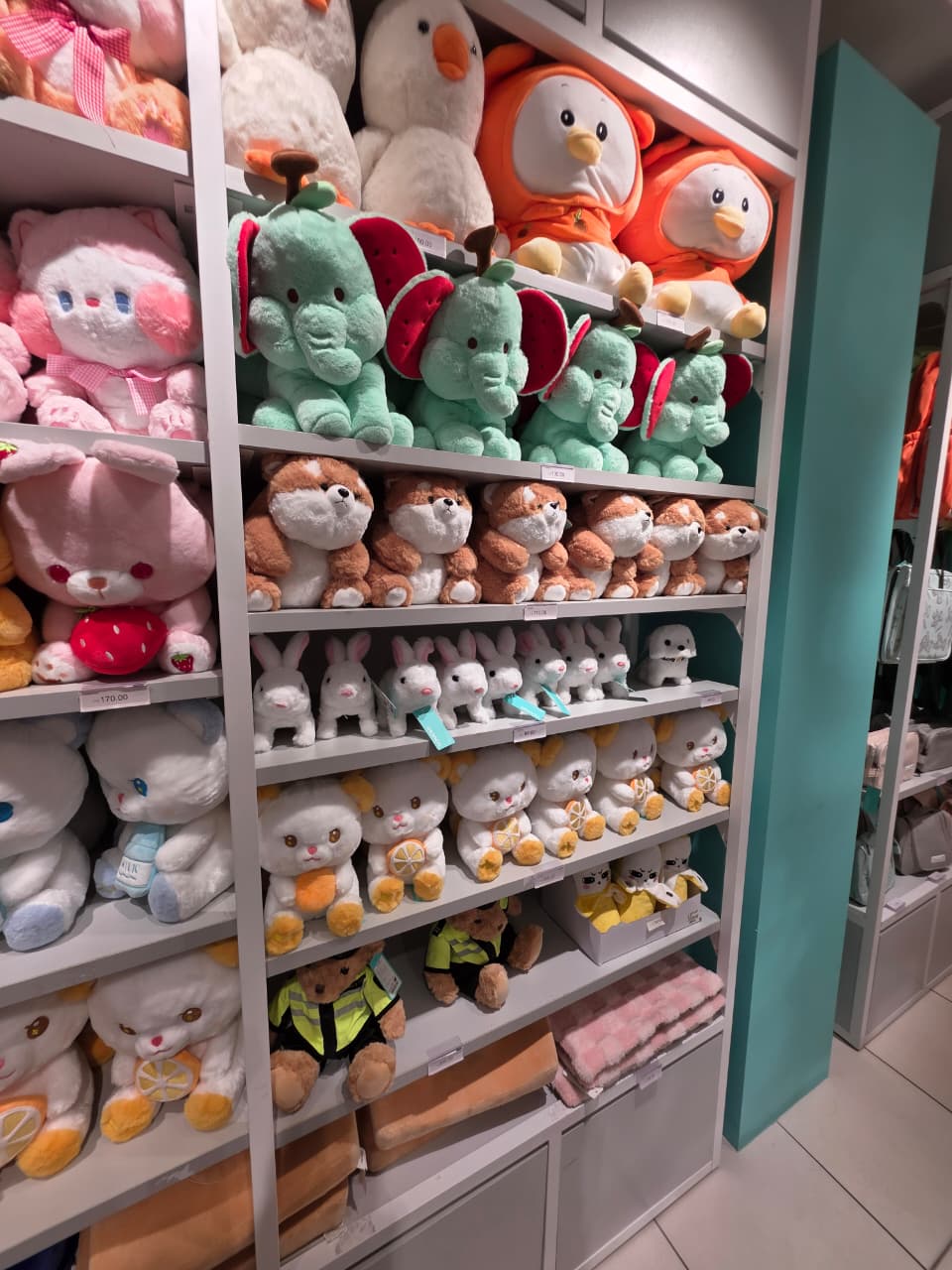 yoyoso gallery image 6